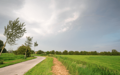 Het weer