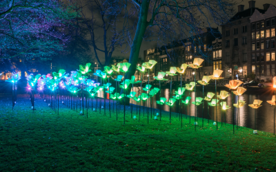 A Few Magical Things to Discover